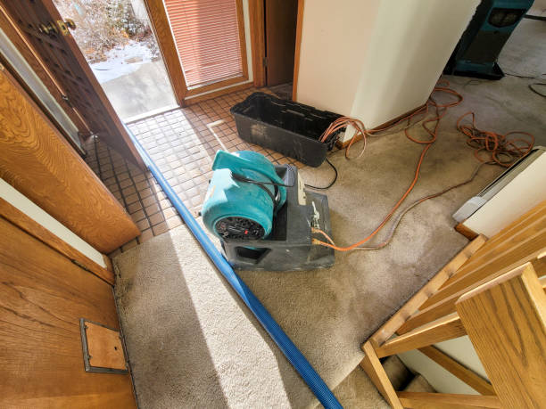 Best Water damage restoration near me  in Lake Arrowhead, ME