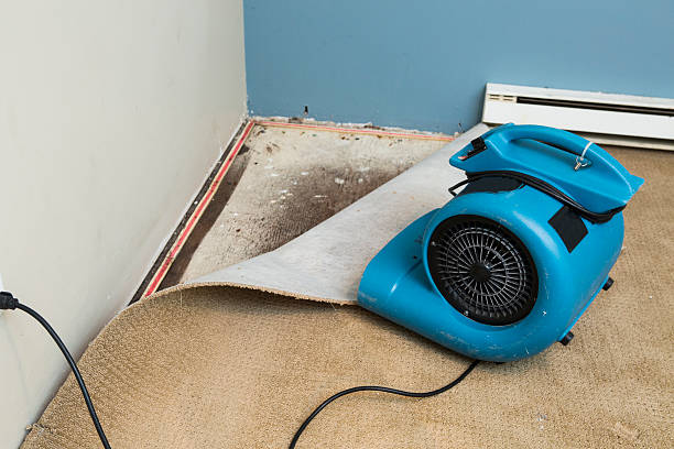 Best Commercial water damage restoration  in Lake Arrowhead, ME
